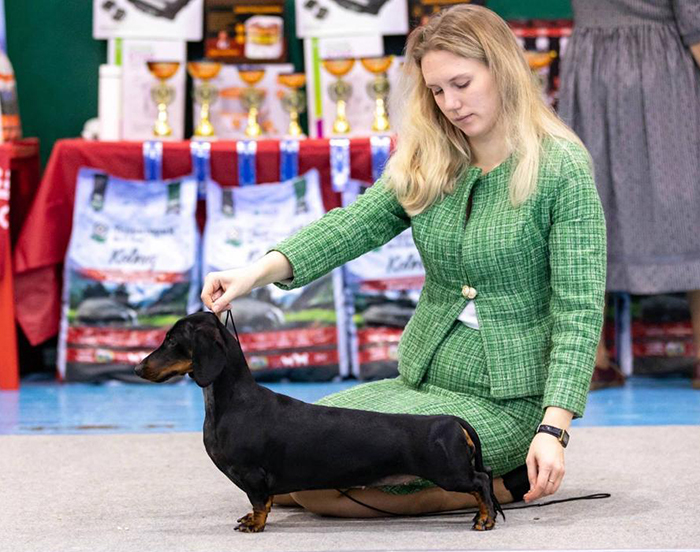       /      