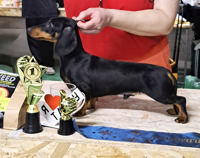 ������� ����� ������ ��� ����� �������� �������������� ������� ������ ������� ��� 3 � ��� ���������� �������� ����� �����