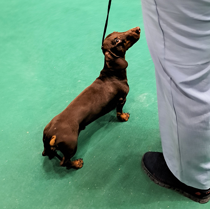 ������� ����� ������ ����� ����������� �������������� ������ �������� ������������� ����� ������ ����� ����� �������� ����������