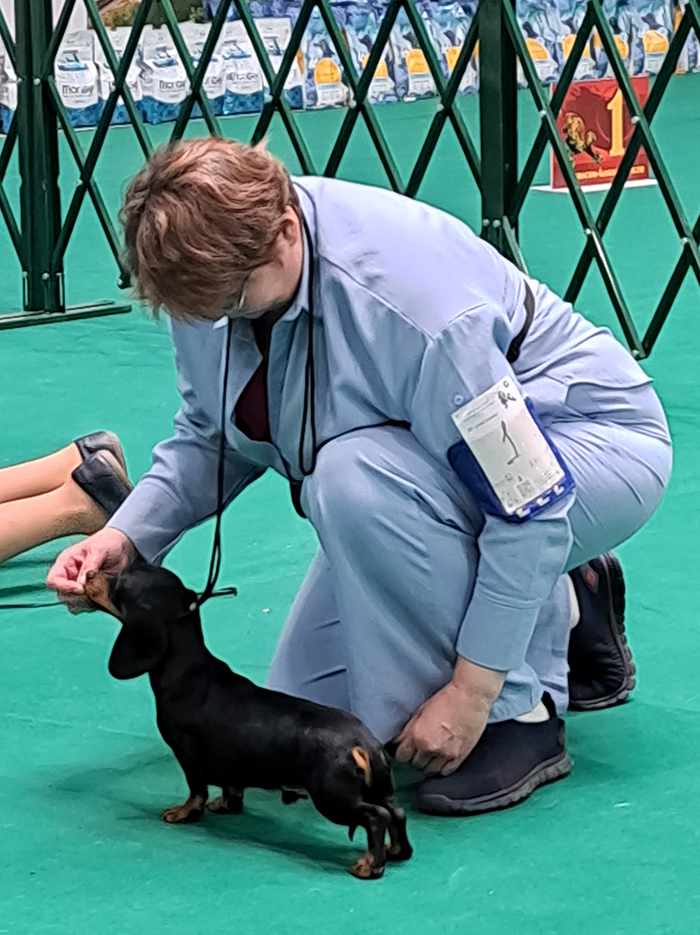 ������� ����� ������ ��� ����� �������� �������������� ����� ��������� ������ ���������� �������� ���� ������� ������ ������ ����� ����� �����