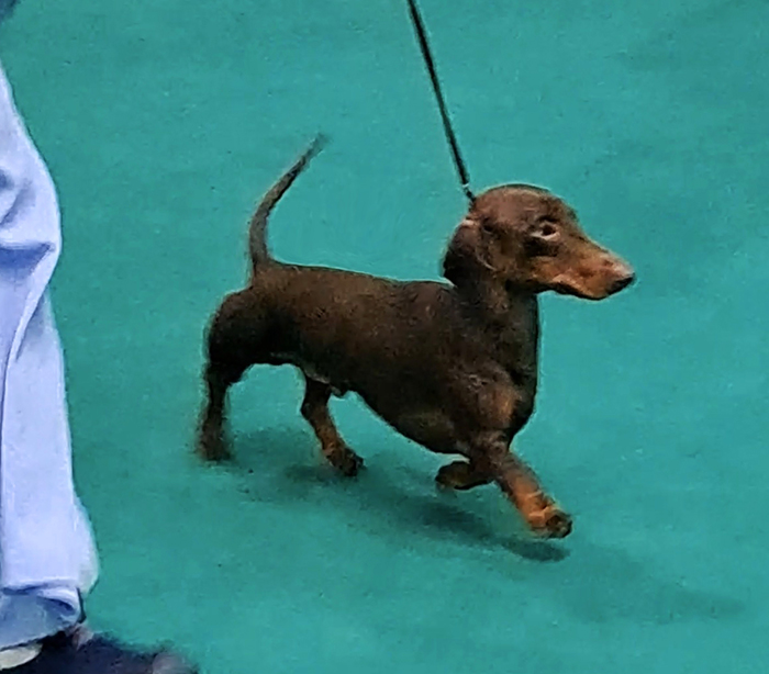 ������� ����� ������ ����� ����������� �������������� ��������� ��������� ������ ���� ������� ���������� �������� ������� ������ ������ ����� ����� ����� �������