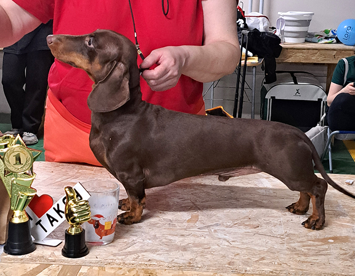 ����� ����������� �������������� ������� ����� ������ ������ ������������� ������ ������������ �������� ���� 27.12.2025  ������ ����� �����